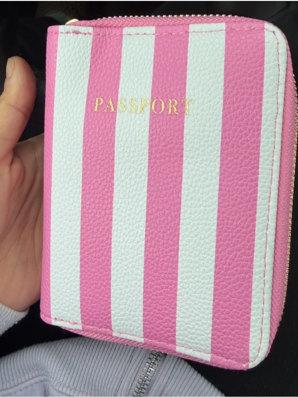 Pink and White Striped Passport Holder
